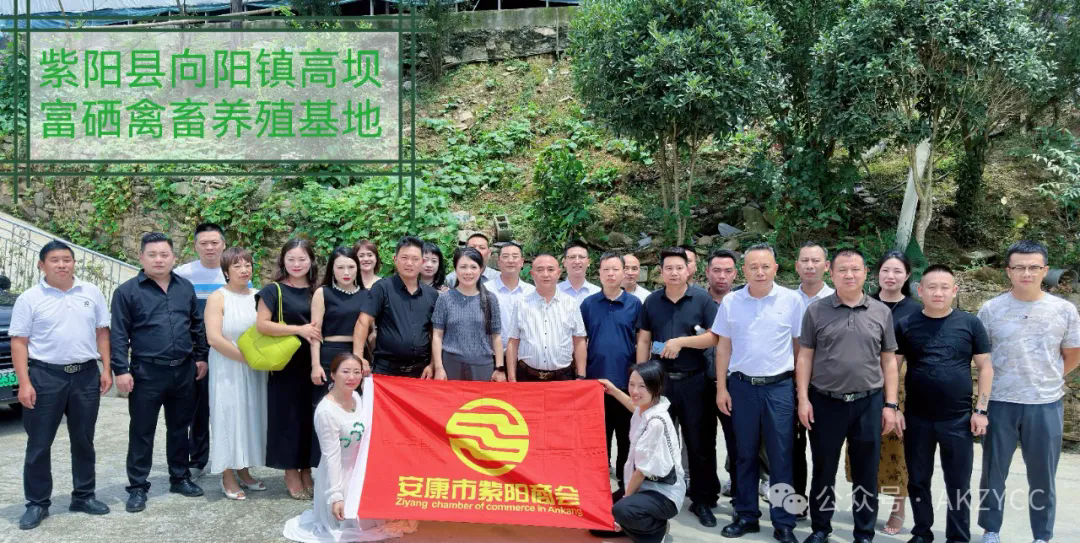 优米app ios召开2024年第五轮轮值会长座谈会